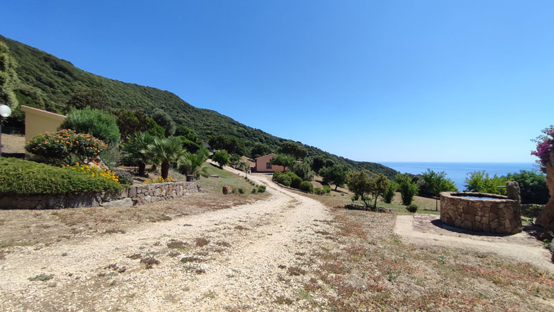 West view of the houses