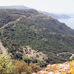 Surroundings: Panoramic view of the houses from North