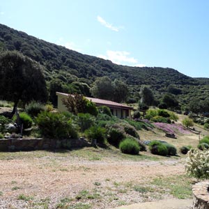 Struttura: Il giardino attorno a Casa Lantana