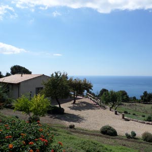 Struttura: Casa Chessa