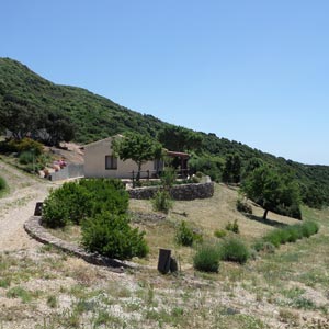 Struttura: Il giardino attorno a Casa Chessa