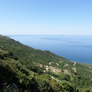 Territorio: Le case, la vista mare e la natura che le circonda