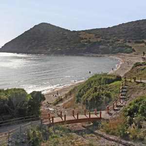 Surroundings: Poglina beach