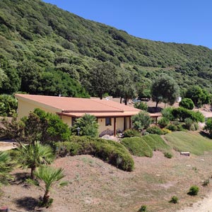 Structure: The houses and the surrounding park