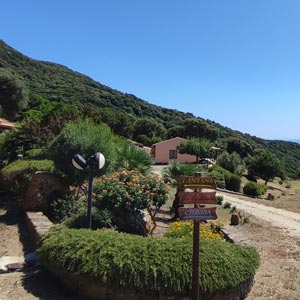 Structure: The houses and the surrounding park